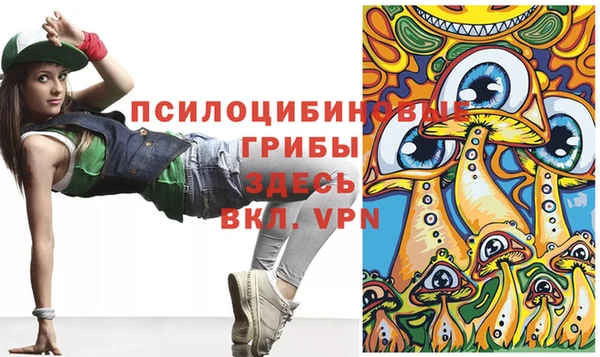 ешки Белокуриха