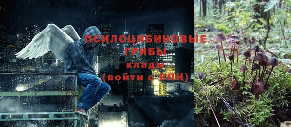 ешки Белокуриха