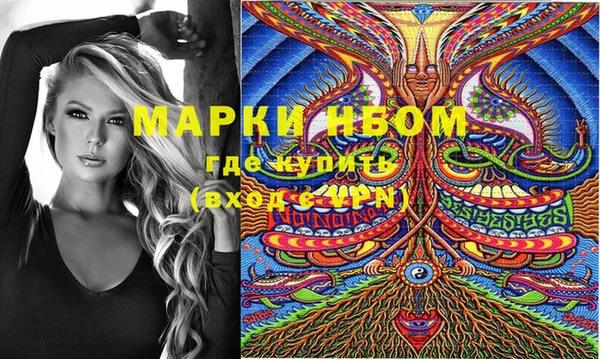 хмурый Богородск