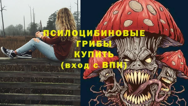 прущая мука Бронницы