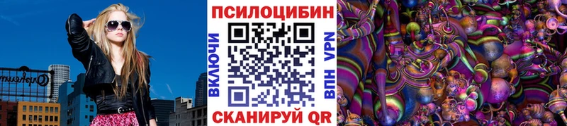 магазин    Красный Кут  Галлюциногенные грибы Cubensis 